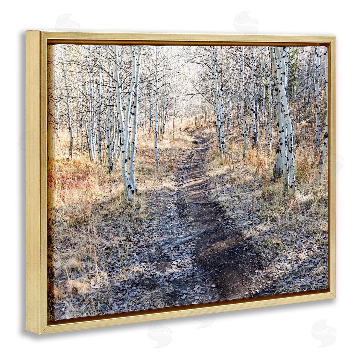 Steve Smith Dirt Path Between Birch Tree Forest Woodland Scene Gold Floating Frame Canvas Wall Art Print