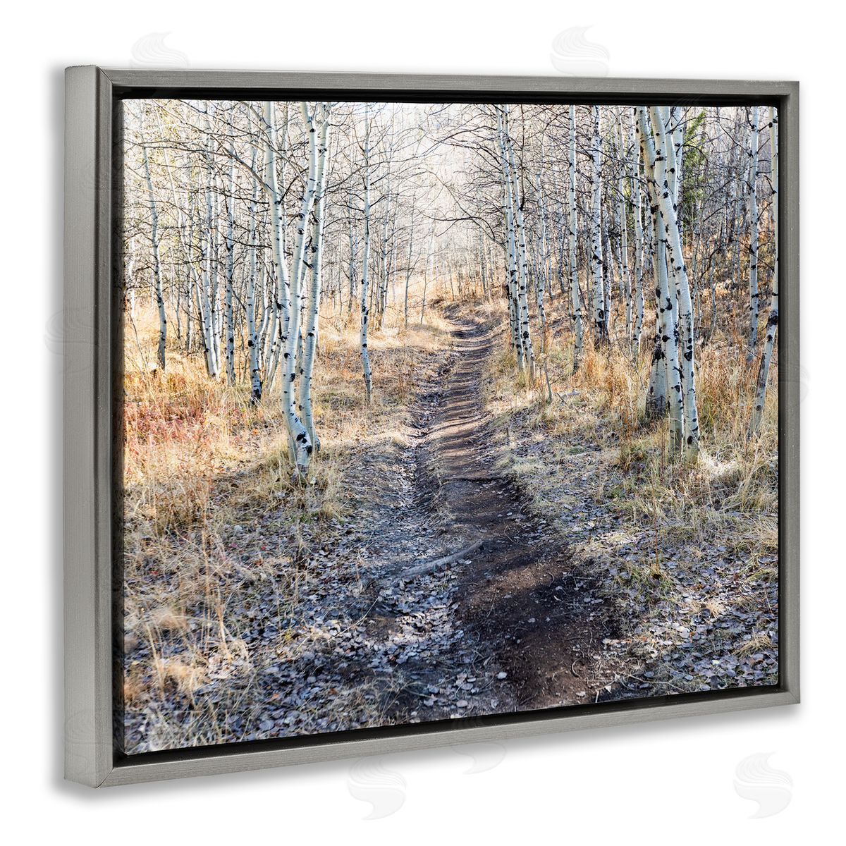 Steve Smith Dirt Path Between Birch Tree Forest Woodland Scene Gray Floating Frame Canvas Wall Art Print