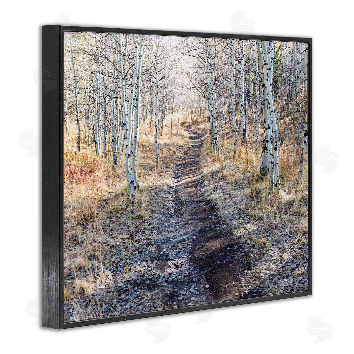 Steve Smith Dirt Path Between Birch Tree Forest Woodland Scene Black Framed Giclee Wall Art Print