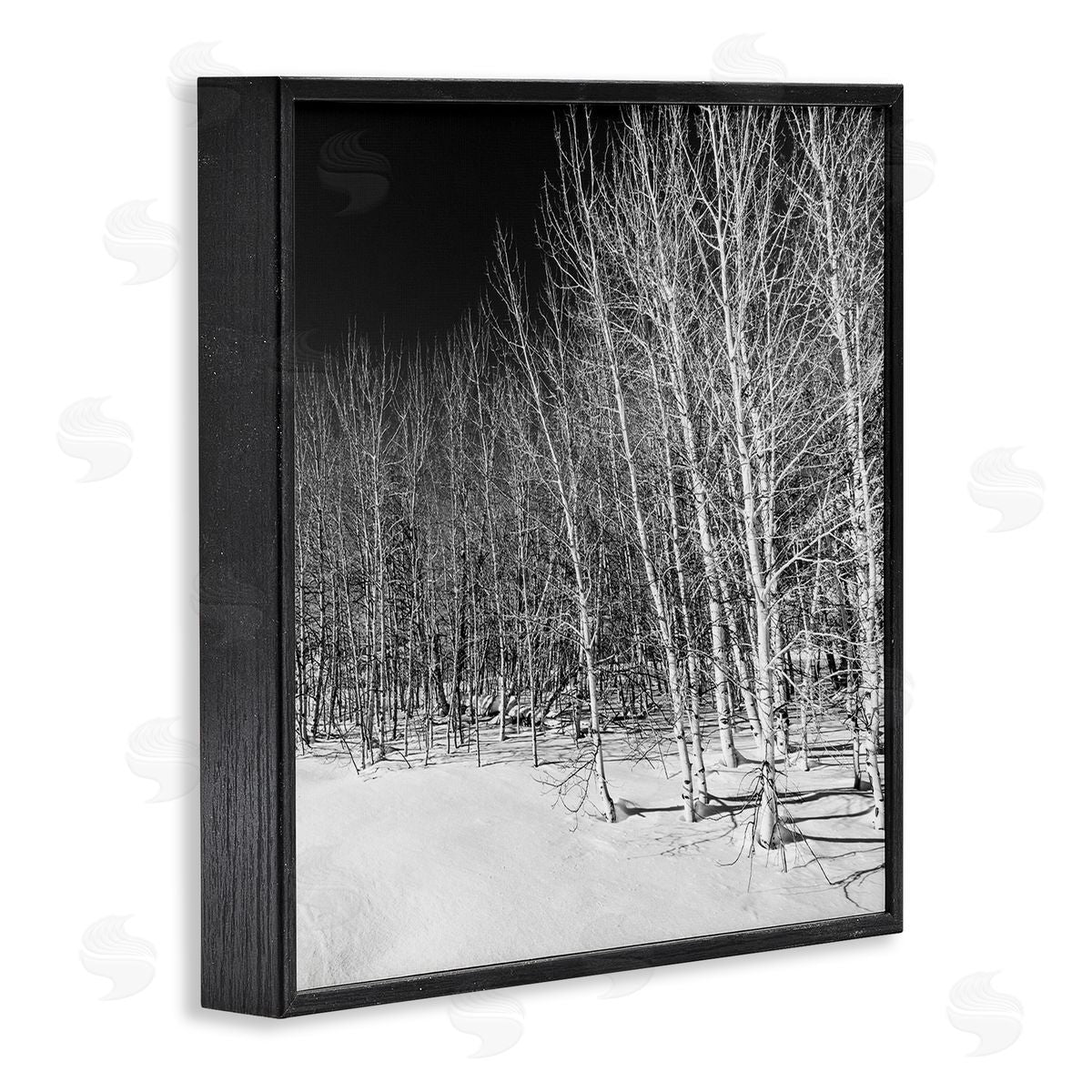 Steve Smith Mysterious Snowy Forest Looming Nighttime Birch Trees Black Framed Glicee Wall Art Print