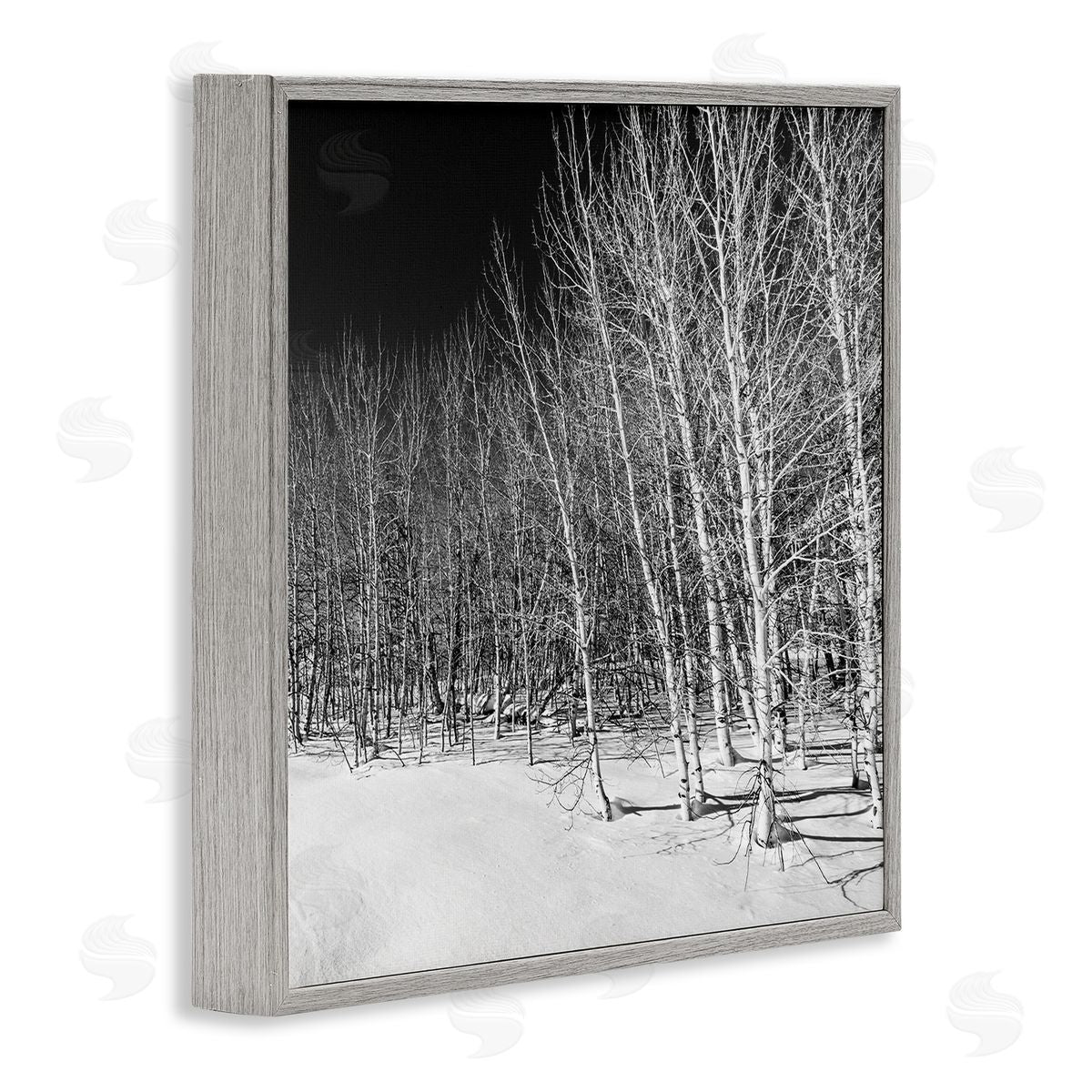Steve Smith Mysterious Snowy Forest Looming Nighttime Birch Trees Gray Framed Glicee Wall Art Print