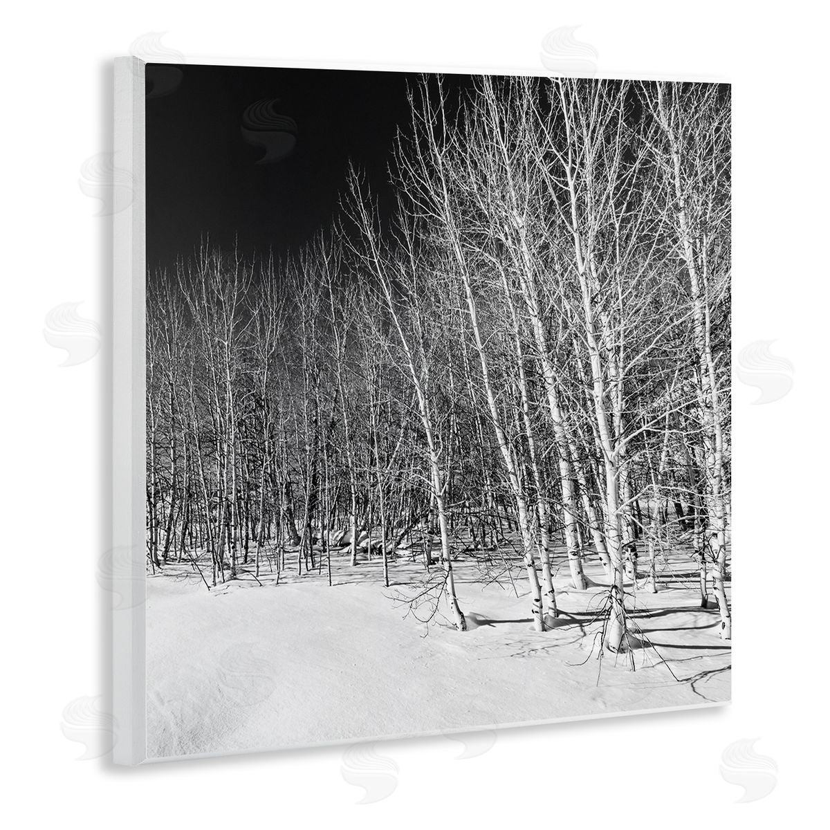 Steve Smith Mysterious Snowy Forest Looming Nighttime Birch Trees Wooden Wall Plaque Art Print