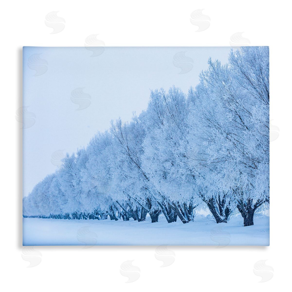 Steve Smith Winter Tree Grove Snow Covered Branches Photography Stretched Canvas Wall Art Print