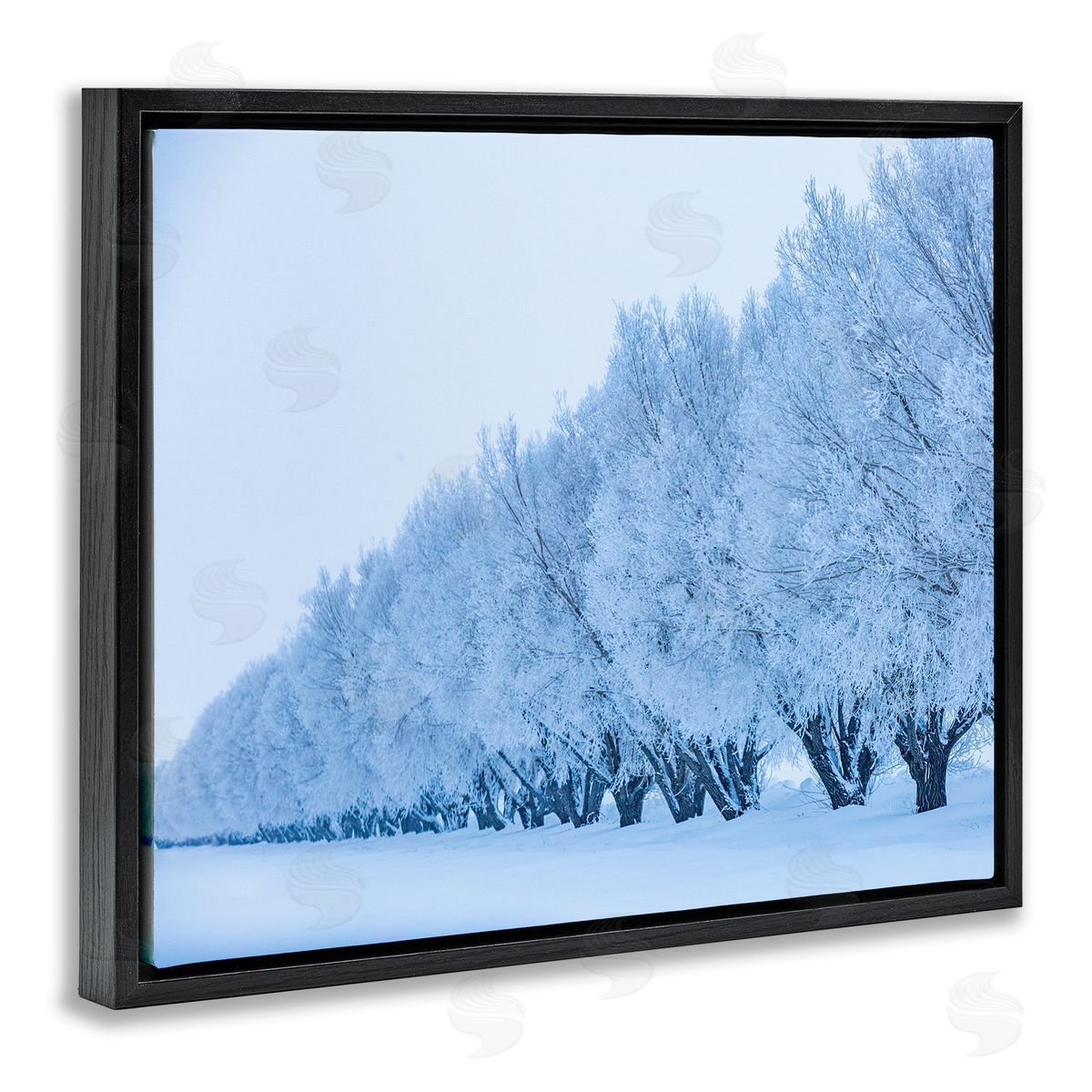 Steve Smith Winter Tree Grove Snow Covered Branches Photography Black Floating Frame Canvas Wall Art Print