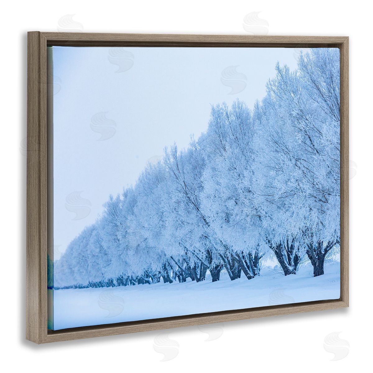 Steve Smith Winter Tree Grove Snow Covered Branches Photography Brown Floating Frame Canvas Wall Art Print