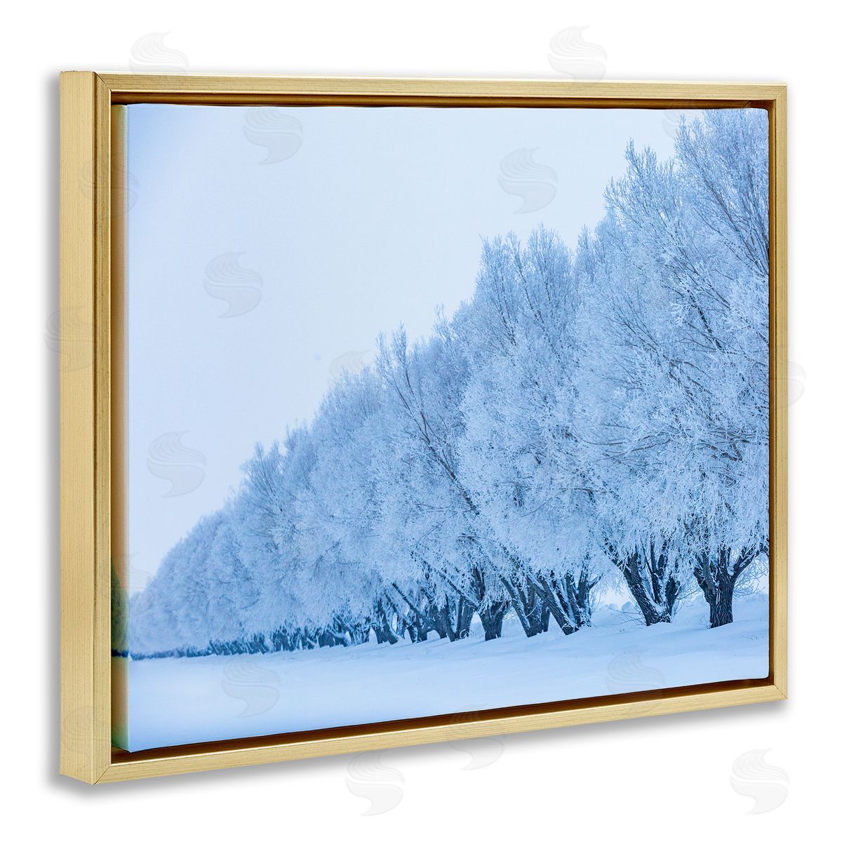 Steve Smith Winter Tree Grove Snow Covered Branches Photography Gold Floating Frame Canvas Wall Art Print