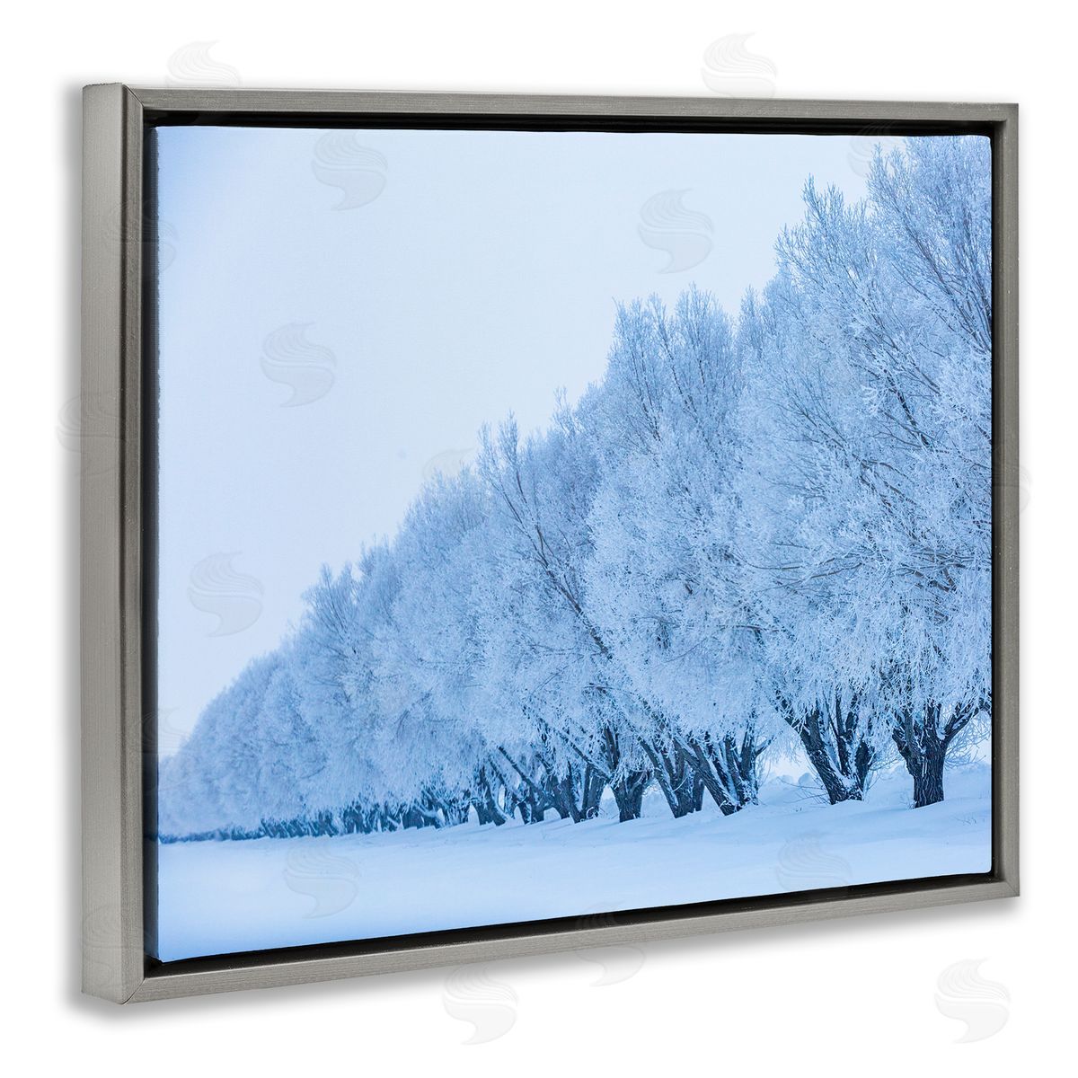 Steve Smith Winter Tree Grove Snow Covered Branches Photography Gray Floating Frame Canvas Wall Art Print