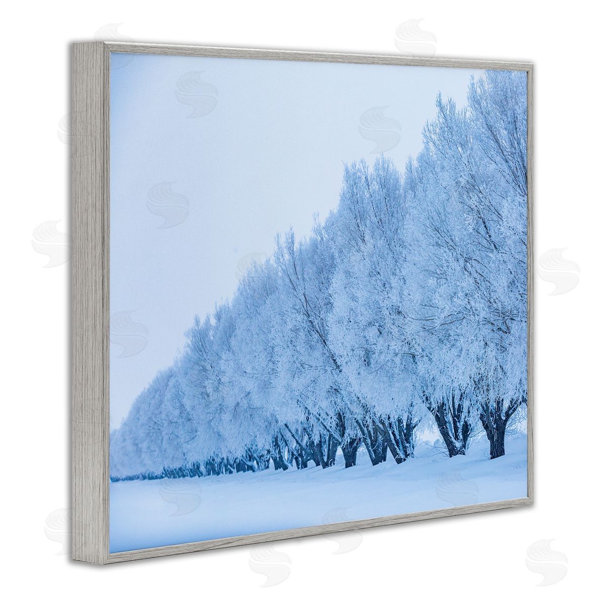 Steve Smith Winter Tree Grove Snow Covered Branches Photography Gray Framed Giclee Wall Art Print