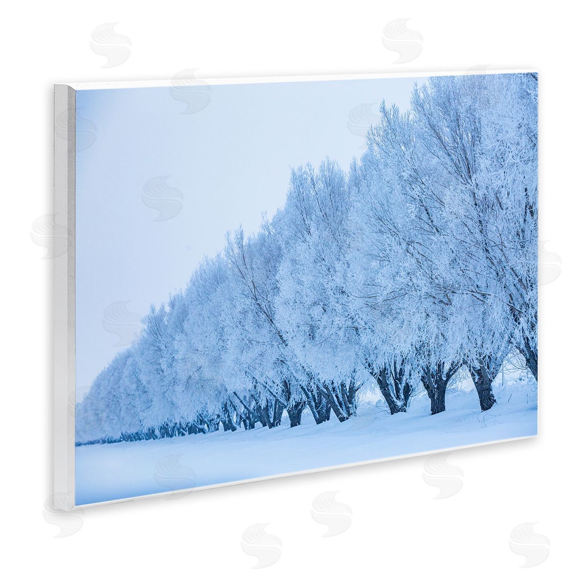 Steve Smith Winter Tree Grove Snow Covered Branches Photography Wall Plaque Art Print