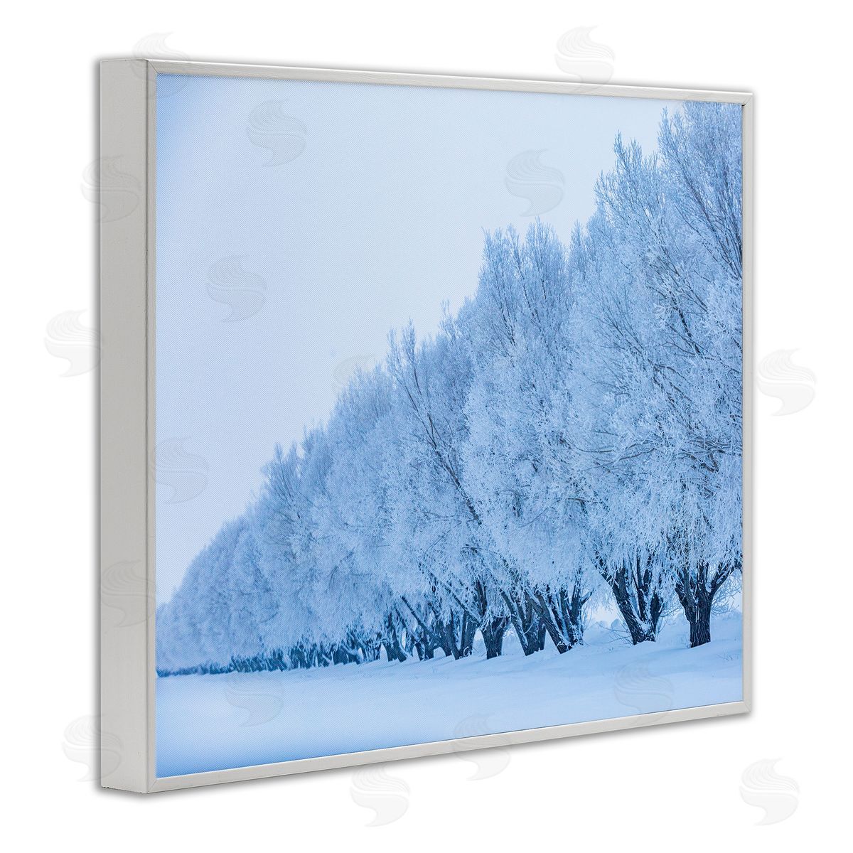 Steve Smith Winter Tree Grove Snow Covered Branches Photography White Framed Giclee Wall Art Print