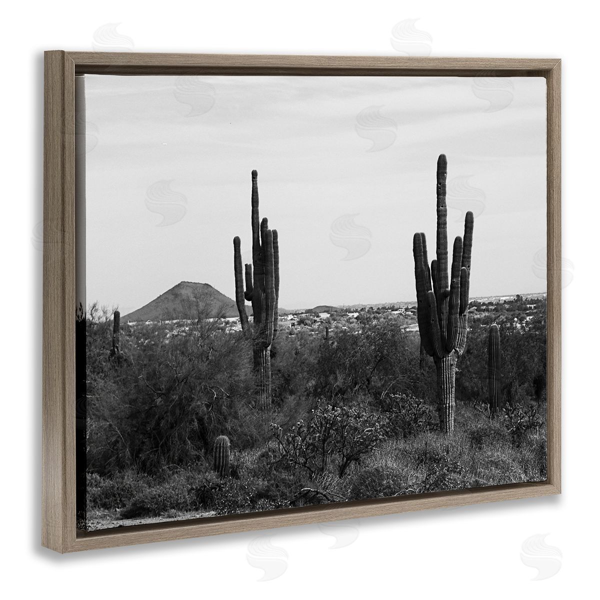 Graffitee Studios Desert Cactus Arid Vegetation Monochrome Nature Photography Brown Floating Frame Canvas Wall Art Print