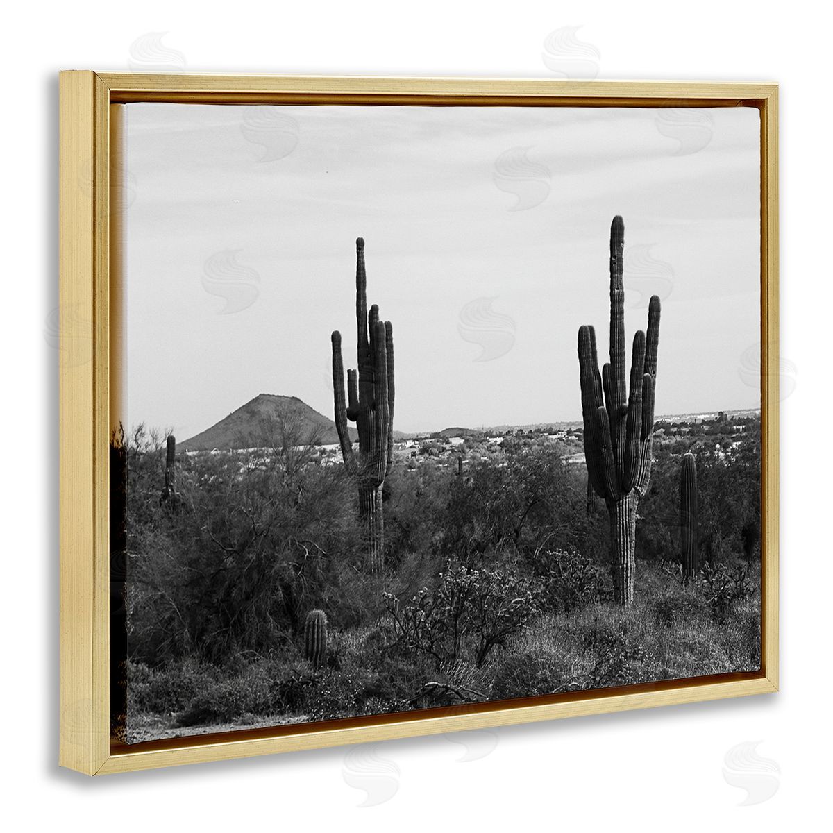 Graffitee Studios Desert Cactus Arid Vegetation Monochrome Nature Photography Gold Floating Frame Canvas Wall Art Print
