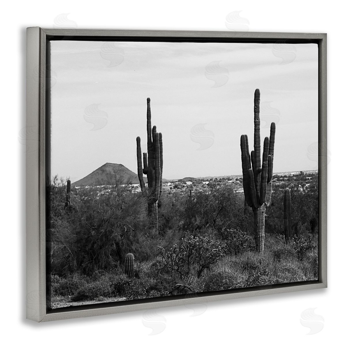 Graffitee Studios Desert Cactus Arid Vegetation Monochrome Nature Photography Gray Floating Frame Canvas Wall Art Print