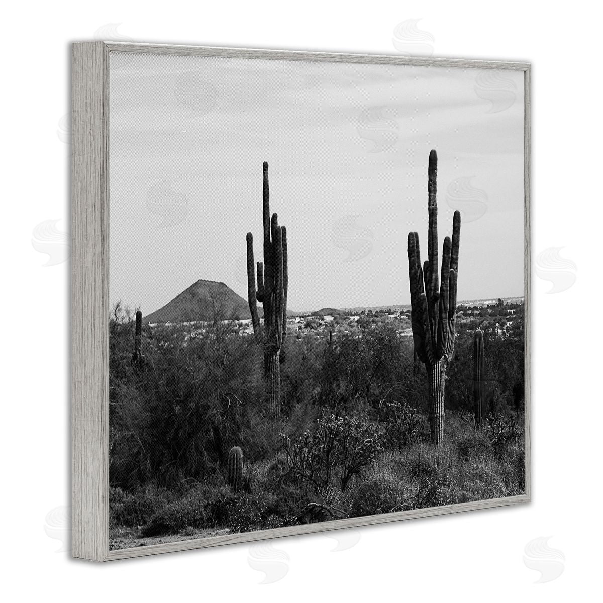 Graffitee Studios Desert Cactus Arid Vegetation Monochrome Nature Photography Gray Framed Giclee Wall Art Print