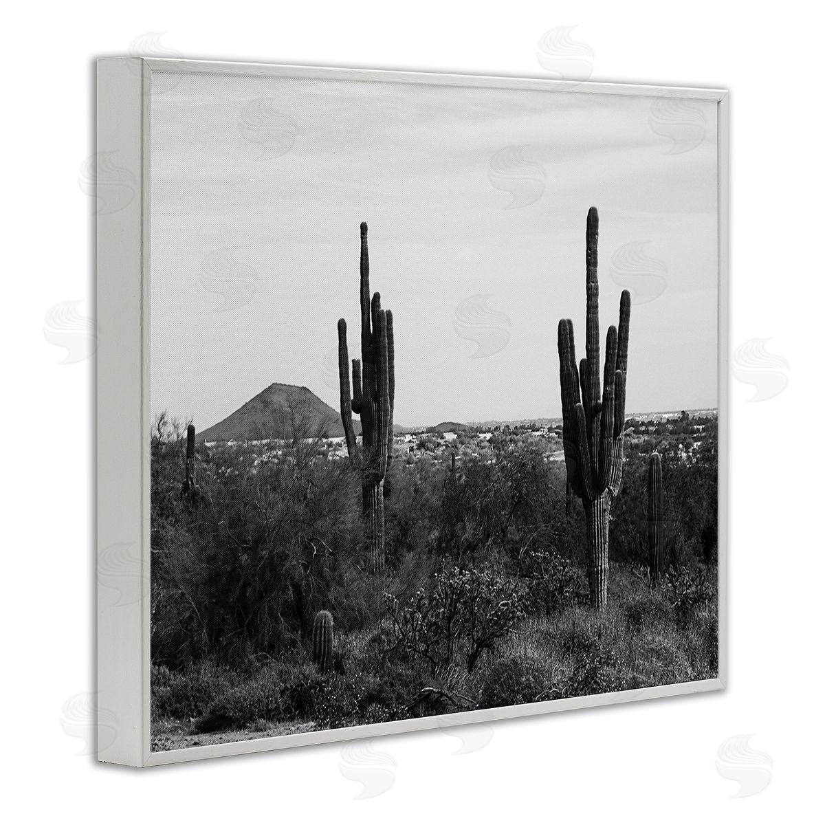 Graffitee Studios Desert Cactus Arid Vegetation Monochrome Nature Photography White Framed Giclee Wall Art Print