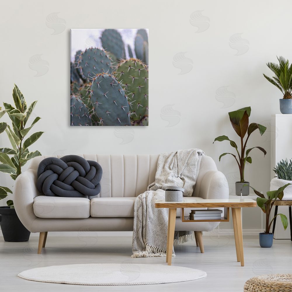 Jeff Poe Photography Prickly Cactus Thorns Close Up Photography Desert Vegetation Canvas Wall Art Print in Room