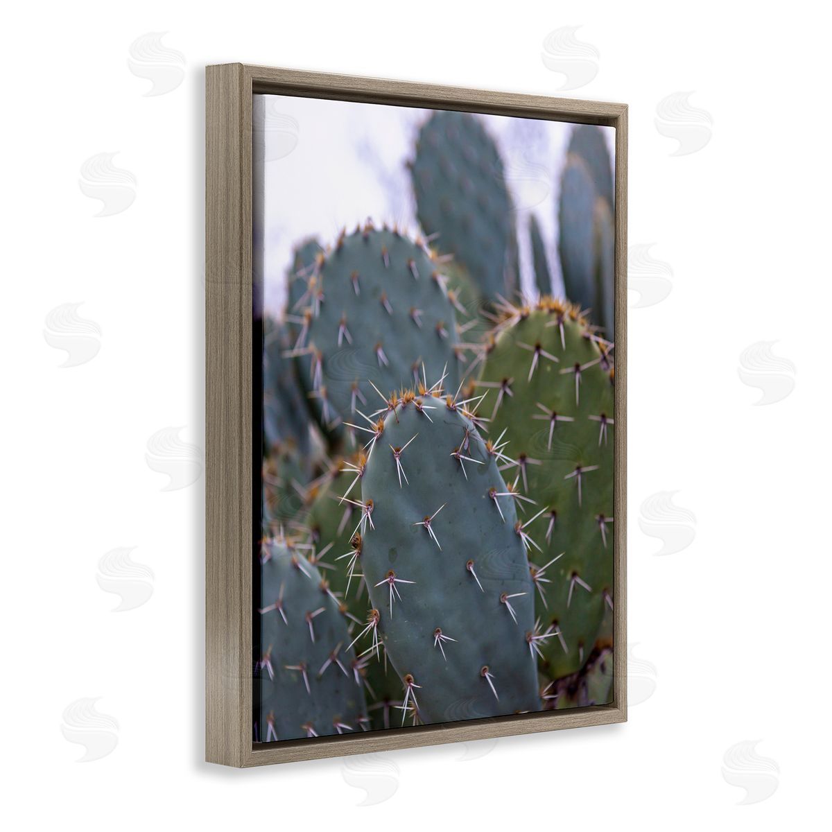 Jeff Poe Photography Prickly Cactus Thorns Close Up Photography Desert Vegetation Brown Floating Frame Canvas Wall Art Print