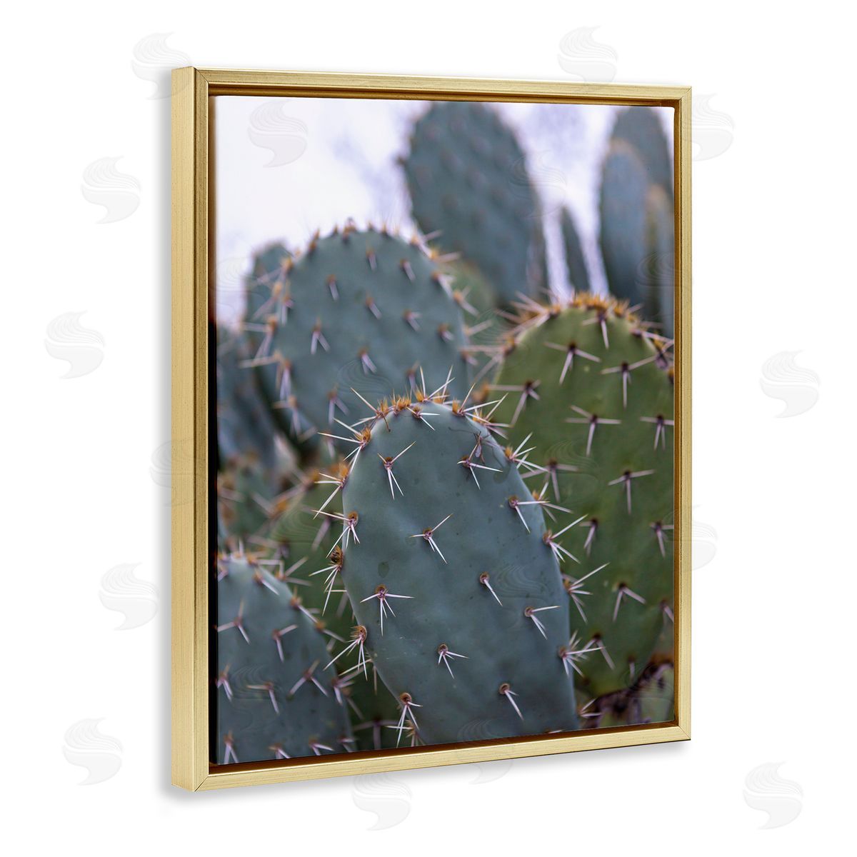 Jeff Poe Photography Prickly Cactus Thorns Close Up Photography Desert Vegetation Gold Floating Frame Canvas Wall Art Print