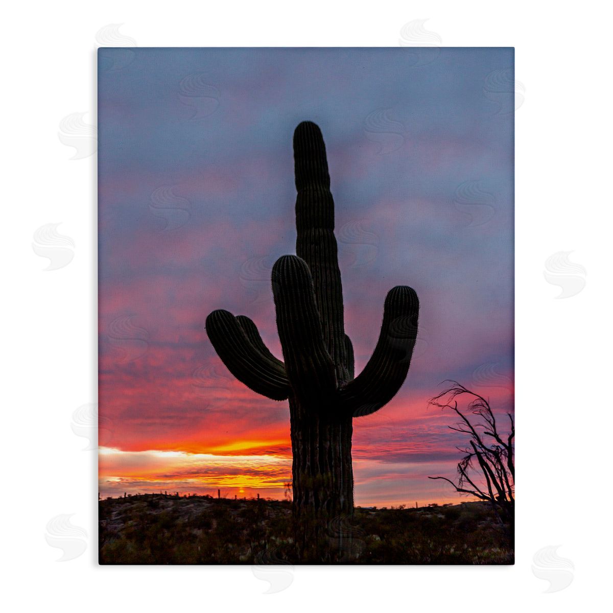 Jeff Poe Photography Desert Cactus Plant Silhouette Radiant Sunset Sky  Stretched Canvas Wall Art Print
