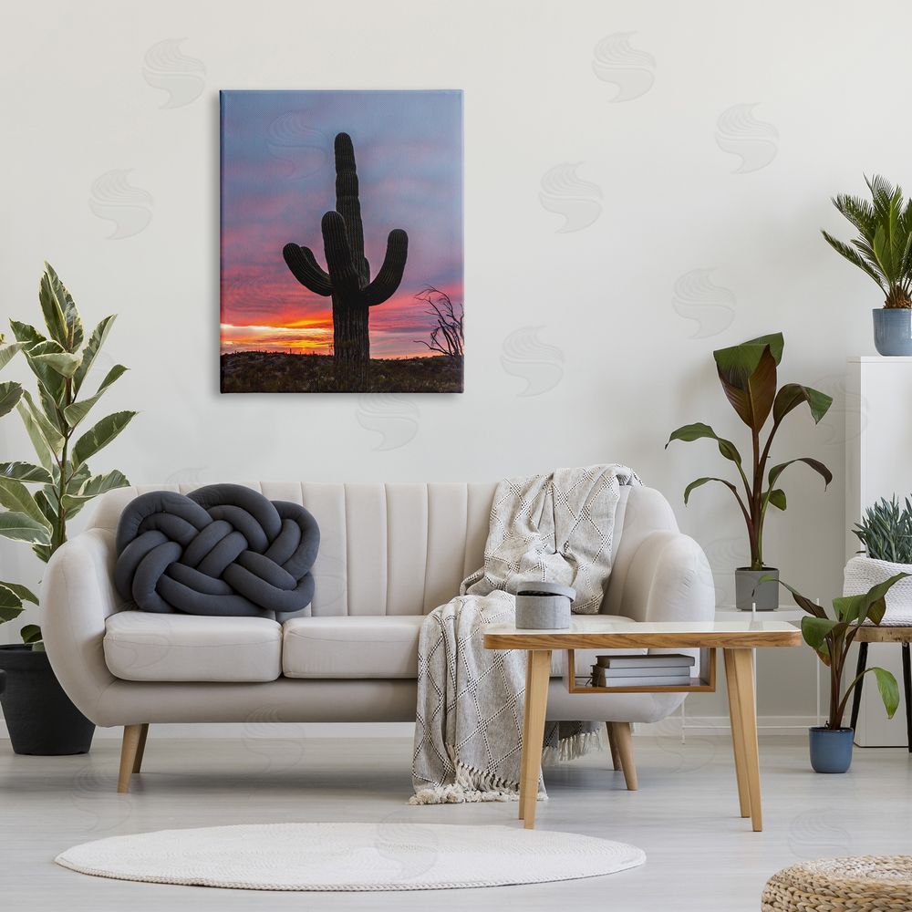 Jeff Poe Photography Desert Cactus Plant Silhouette Radiant Sunset Sky  Canvas Wall Art Print in Room