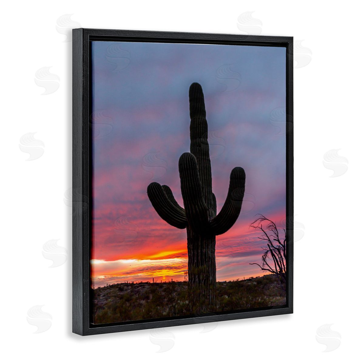 Jeff Poe Photography Desert Cactus Plant Silhouette Radiant Sunset Sky  Black Floating Frame Canvas Wall Art Print