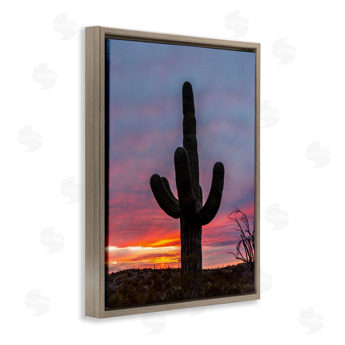 Jeff Poe Photography Desert Cactus Plant Silhouette Radiant Sunset Sky  Brown Floating Frame Canvas Wall Art Print