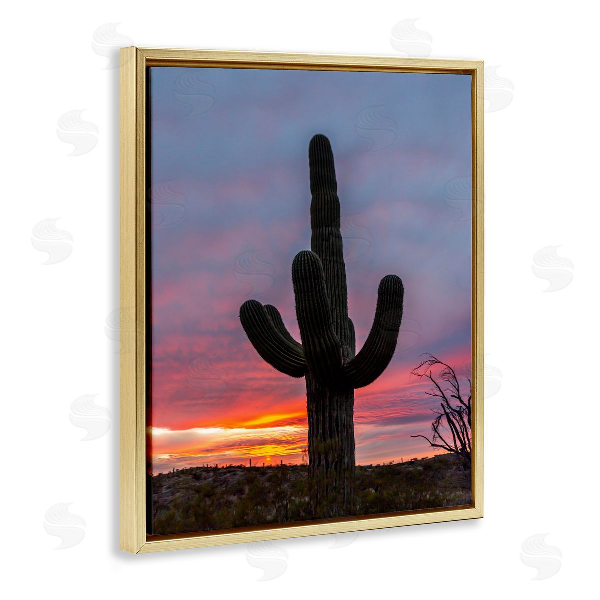 Jeff Poe Photography Desert Cactus Plant Silhouette Radiant Sunset Sky  Gold Floating Frame Canvas Wall Art Print