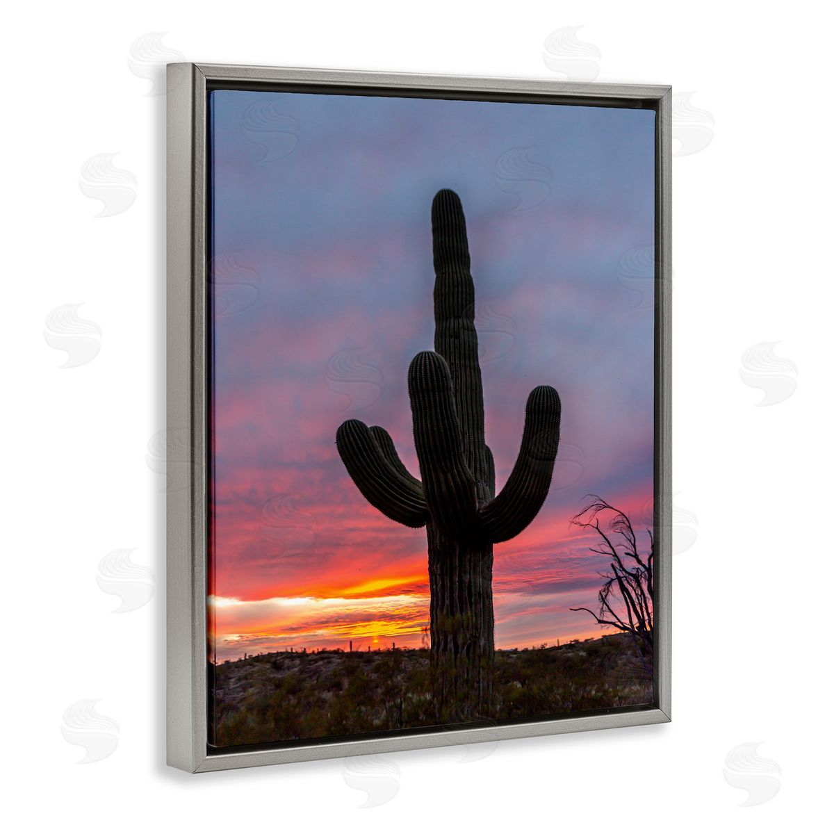 Jeff Poe Photography Desert Cactus Plant Silhouette Radiant Sunset Sky  Gray Floating Frame Canvas Wall Art Print
