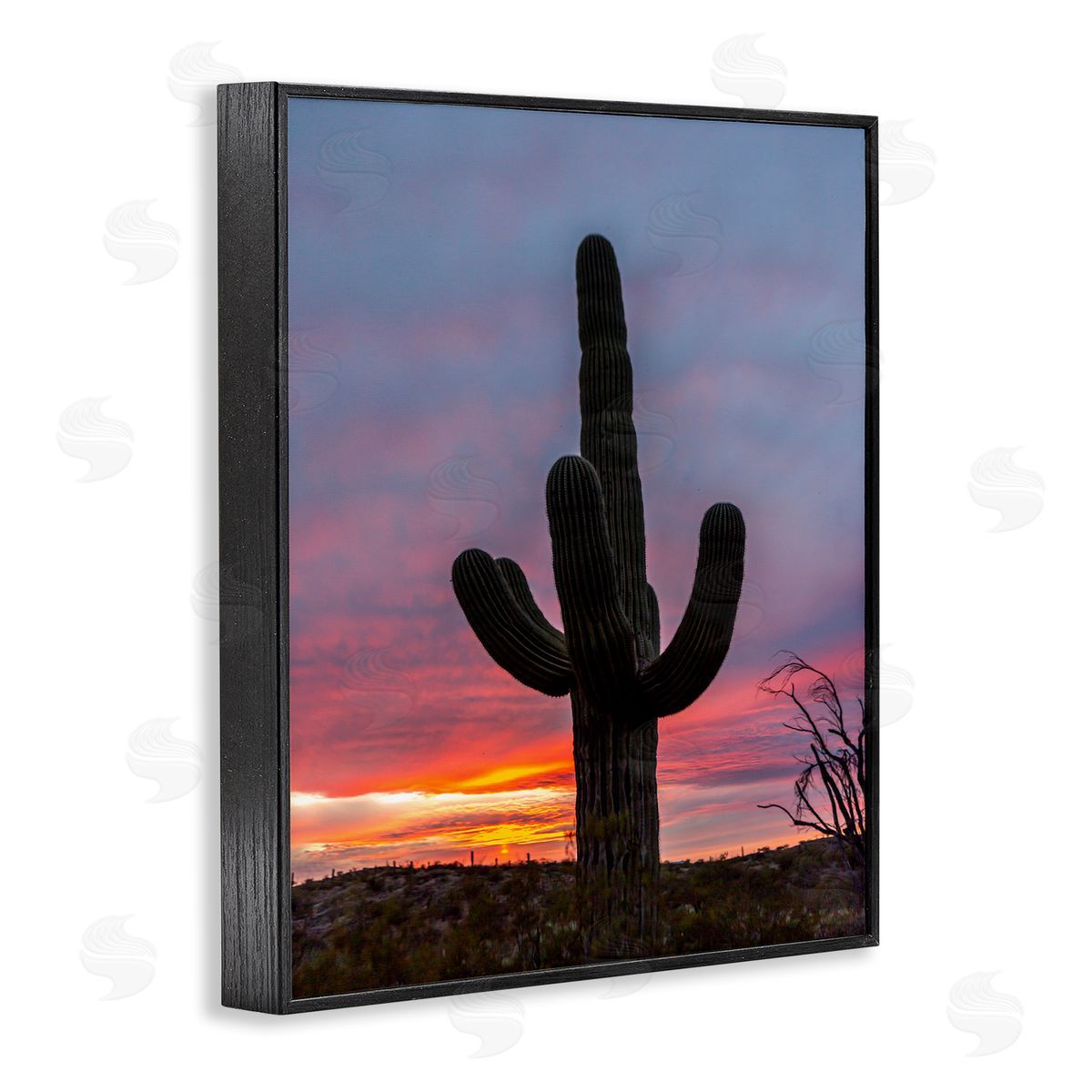 Jeff Poe Photography Desert Cactus Plant Silhouette Radiant Sunset Sky  Black Framed Giclee Wall Art Print