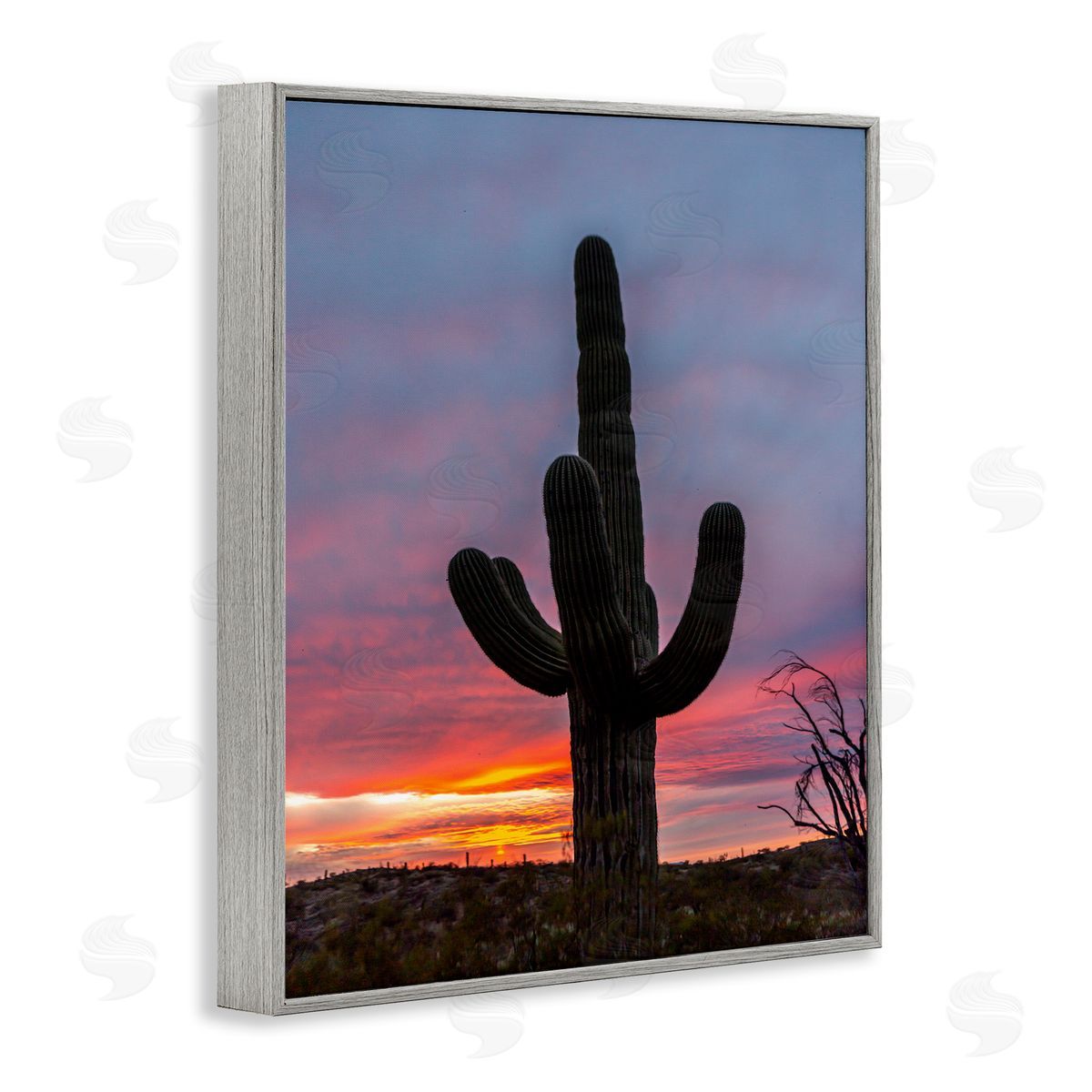 Jeff Poe Photography Desert Cactus Plant Silhouette Radiant Sunset Sky  Gray Framed Giclee Wall Art Print
