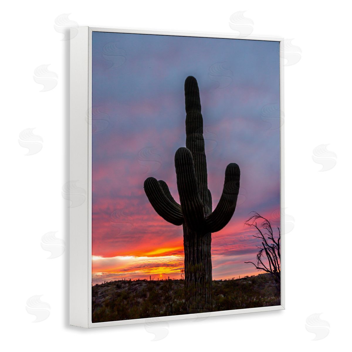 Jeff Poe Photography Desert Cactus Plant Silhouette Radiant Sunset Sky  White Framed Giclee Wall Art Print