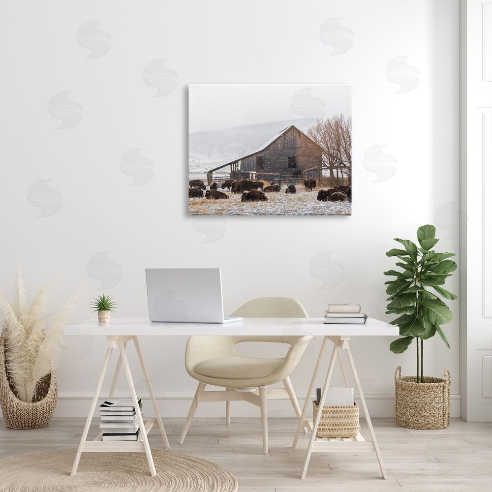 Jeff Poe Photography Snow Dusted Barn Buffalo Bison Rural Farm  Canvas Wall Art Print in Room