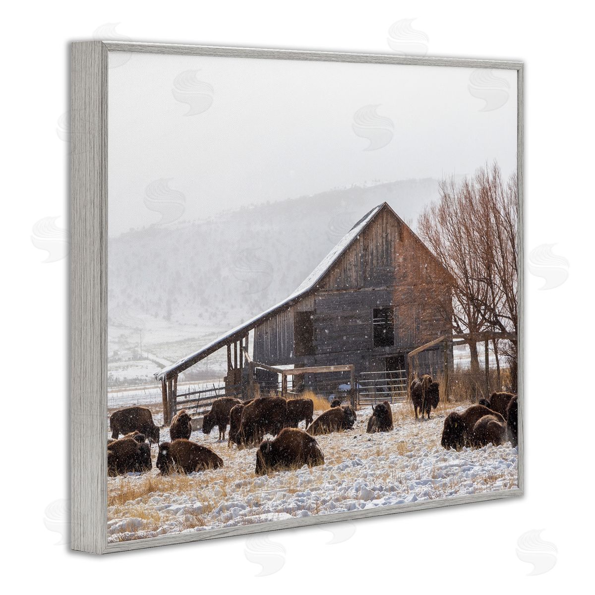 Jeff Poe Photography Snow Dusted Barn Buffalo Bison Rural Farm  Gray Framed Giclee Wall Art Print