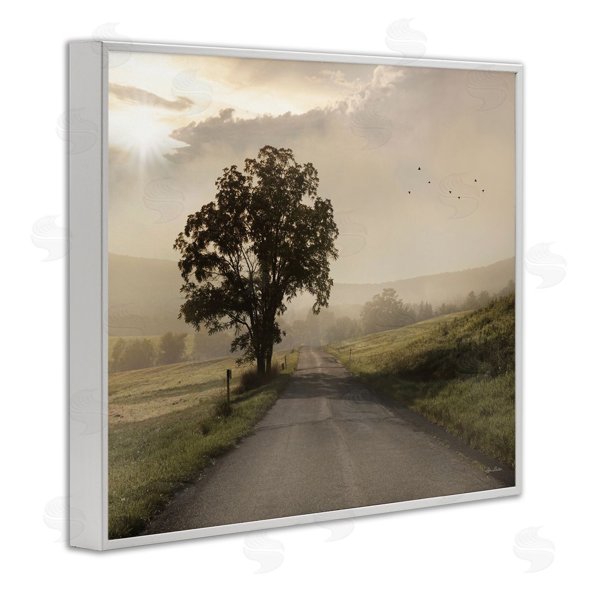 Lori Deiter Lone Tree Quiet Morning Road Rural Landscape  White Framed Giclee Wall Art Print