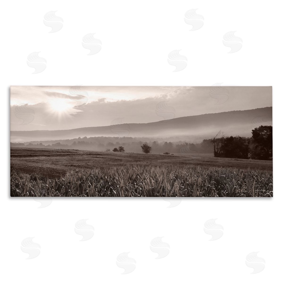 Lori Deiter Agricultural Countryside Farm Emerging Sun Rays Photography