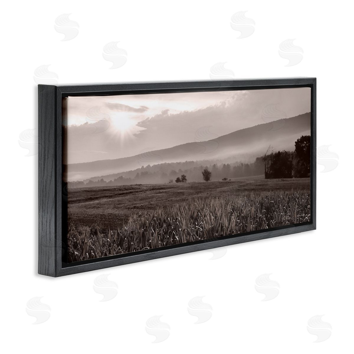 Lori Deiter Agricultural Countryside Farm Emerging Sun Rays Photography