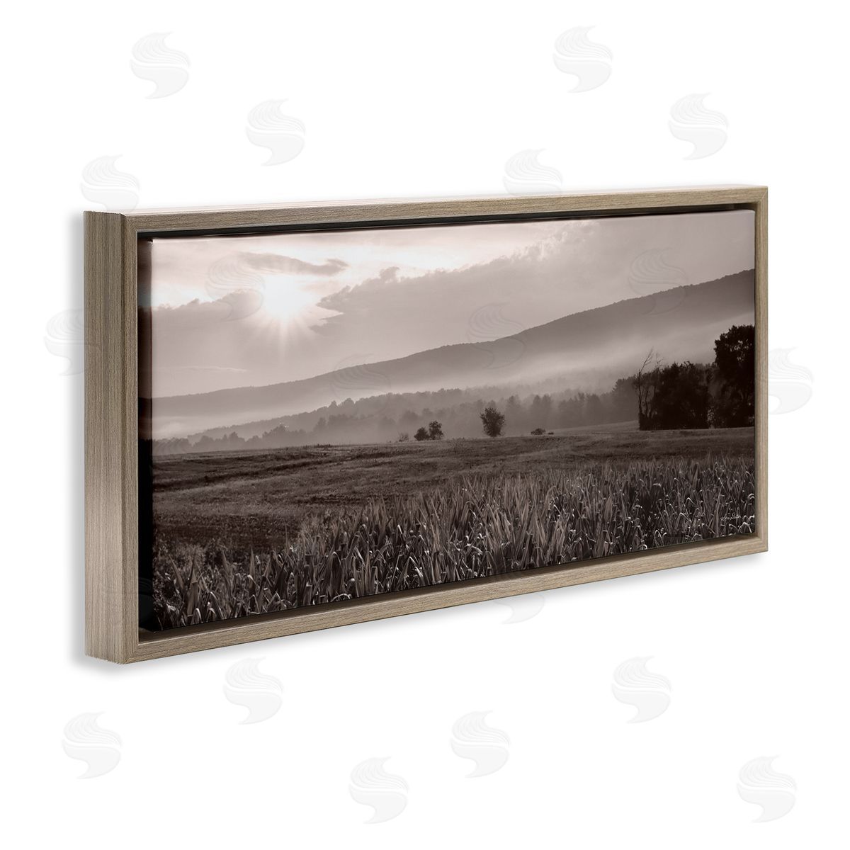 Lori Deiter Agricultural Countryside Farm Emerging Sun Rays Photography