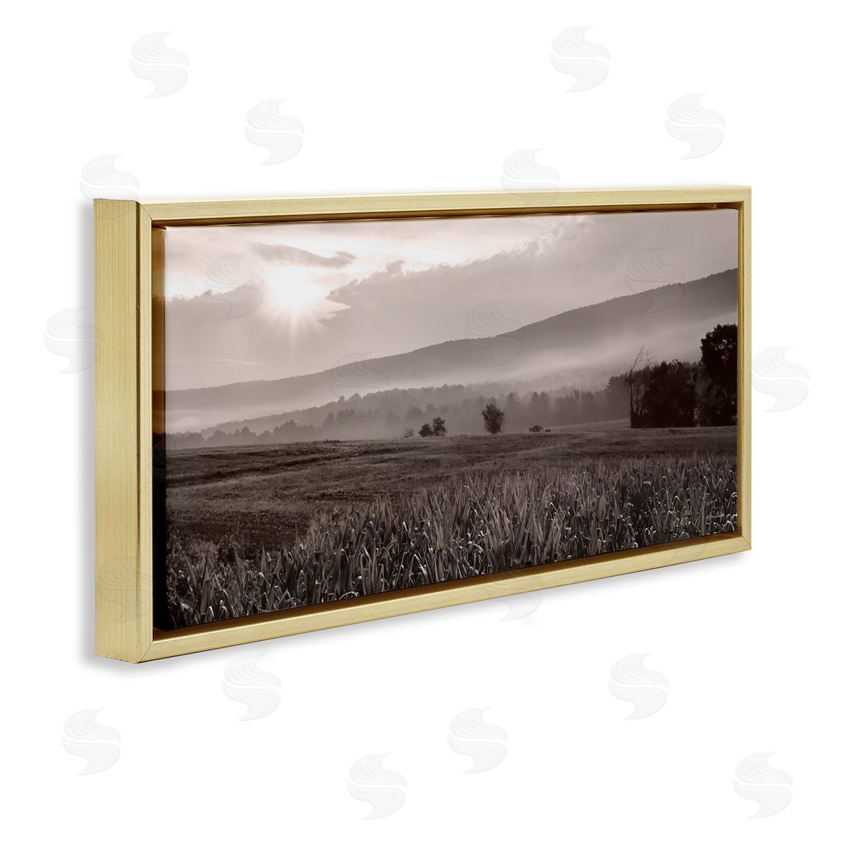 Lori Deiter Agricultural Countryside Farm Emerging Sun Rays Photography