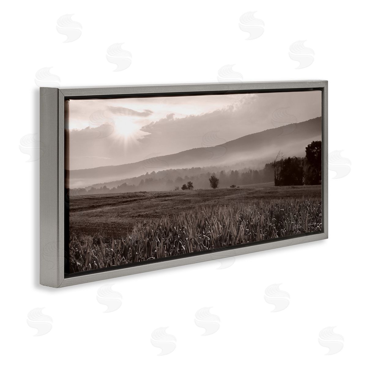 Lori Deiter Agricultural Countryside Farm Emerging Sun Rays Photography