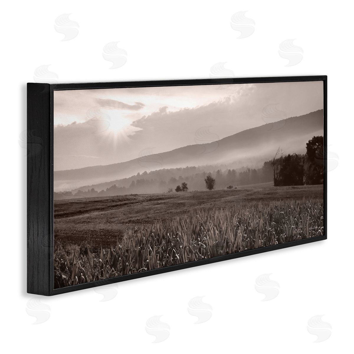 Lori Deiter Agricultural Countryside Farm Emerging Sun Rays Photography