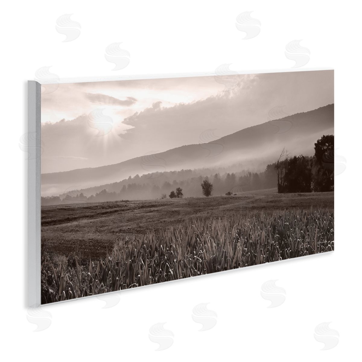 Lori Deiter Agricultural Countryside Farm Emerging Sun Rays Photography