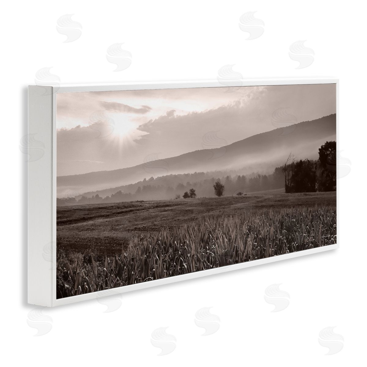 Lori Deiter Agricultural Countryside Farm Emerging Sun Rays Photography