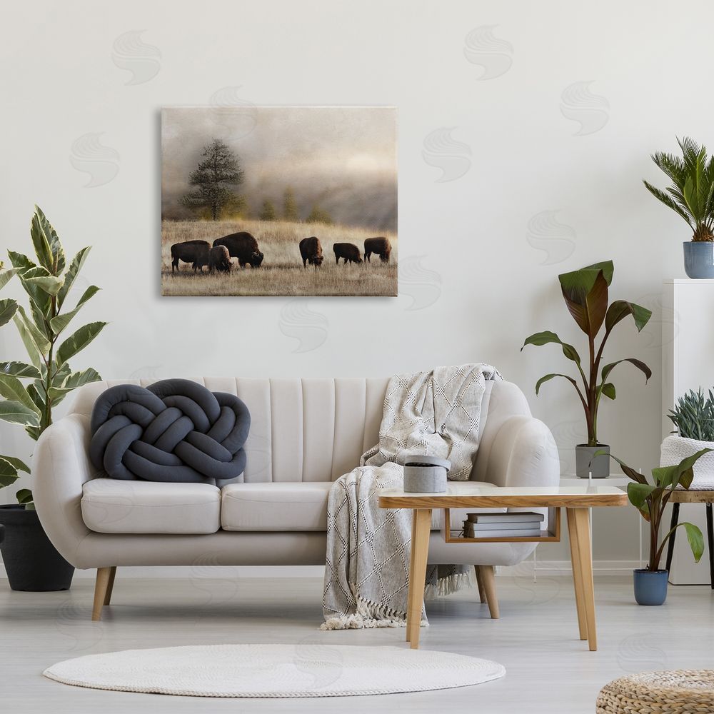 Danita Delimont Grazing Bison Rural Grassland Meadow Panoramic Scene Canvas Wall Art Print in Room