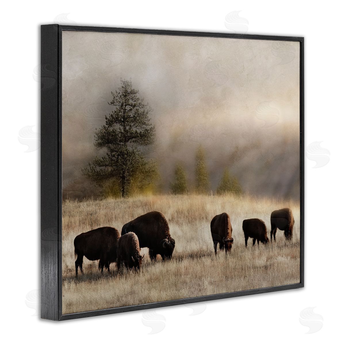 Danita Delimont Grazing Bison Rural Grassland Meadow Panoramic Scene Black Framed Giclee Wall Art Print