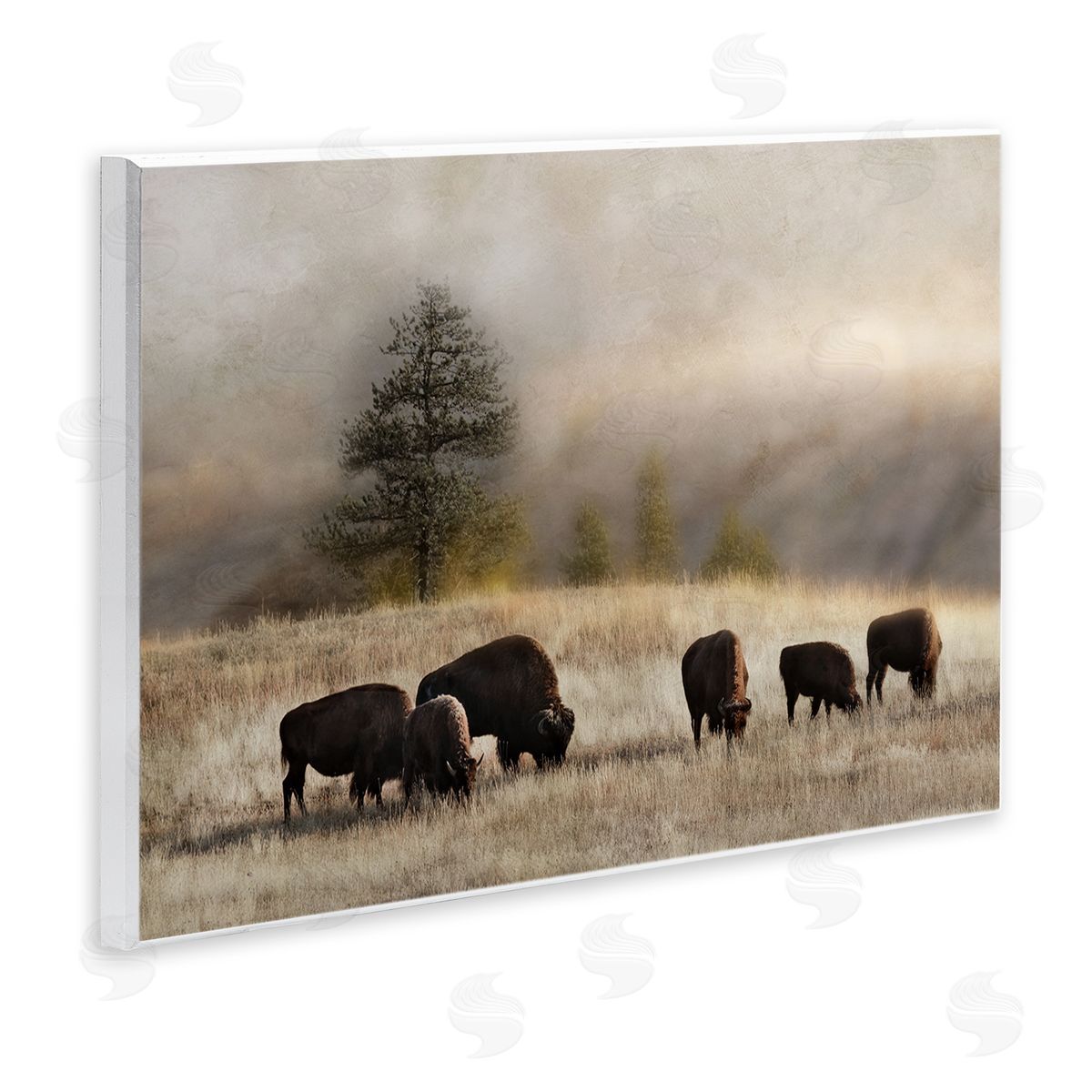 Danita Delimont Grazing Bison Rural Grassland Meadow Panoramic Scene Wall Plaque Art Print