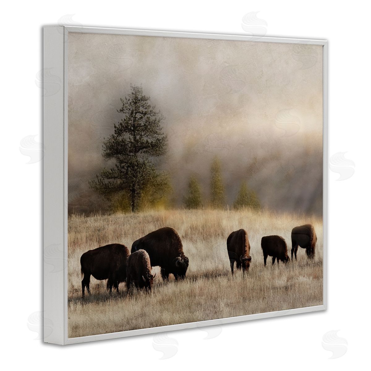 Danita Delimont Grazing Bison Rural Grassland Meadow Panoramic Scene White Framed Giclee Wall Art Print