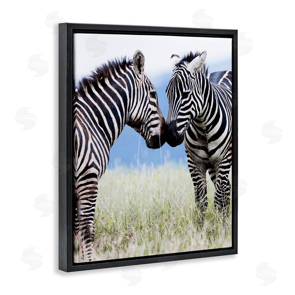 Danita Delimont Heartwarming Zebras Kissing in Field Animal Wildlife  Black Floating Frame Canvas Wall Art Print