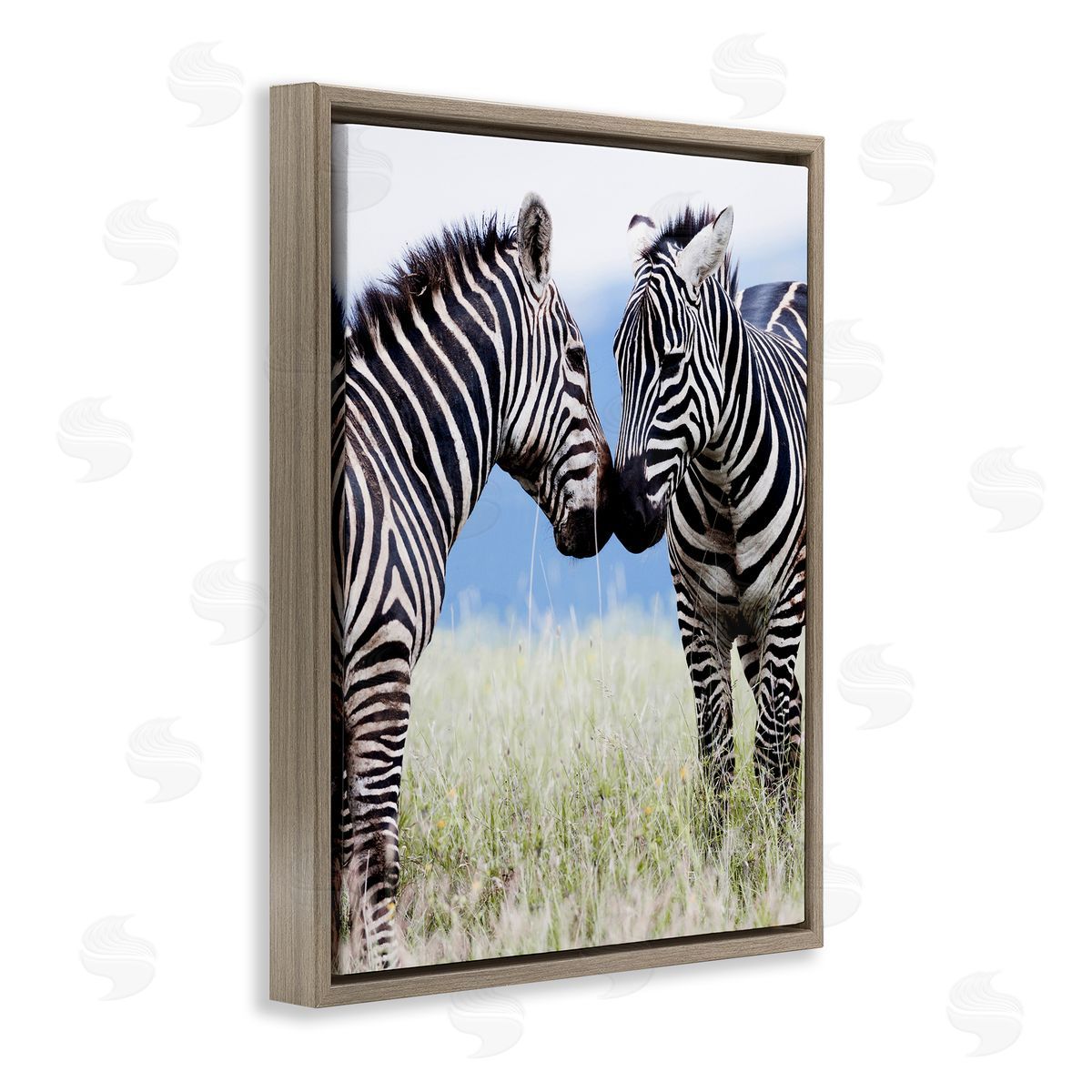 Danita Delimont Heartwarming Zebras Kissing in Field Animal Wildlife  Brown Floating Frame Canvas Wall Art Print