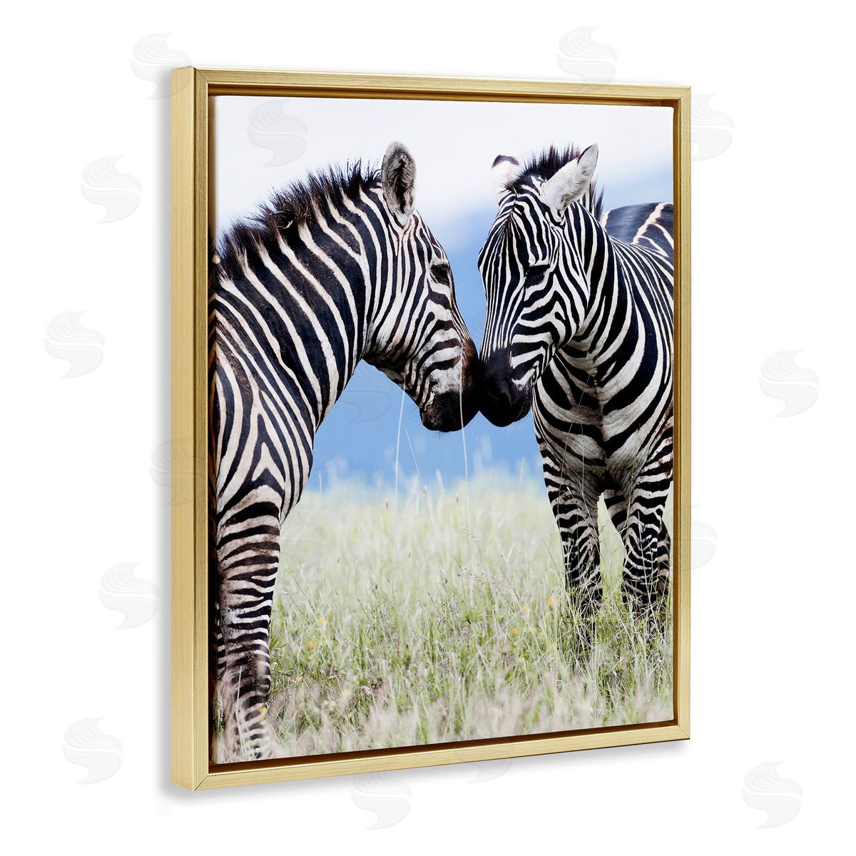 Danita Delimont Heartwarming Zebras Kissing in Field Animal Wildlife  Gold Floating Frame Canvas Wall Art Print