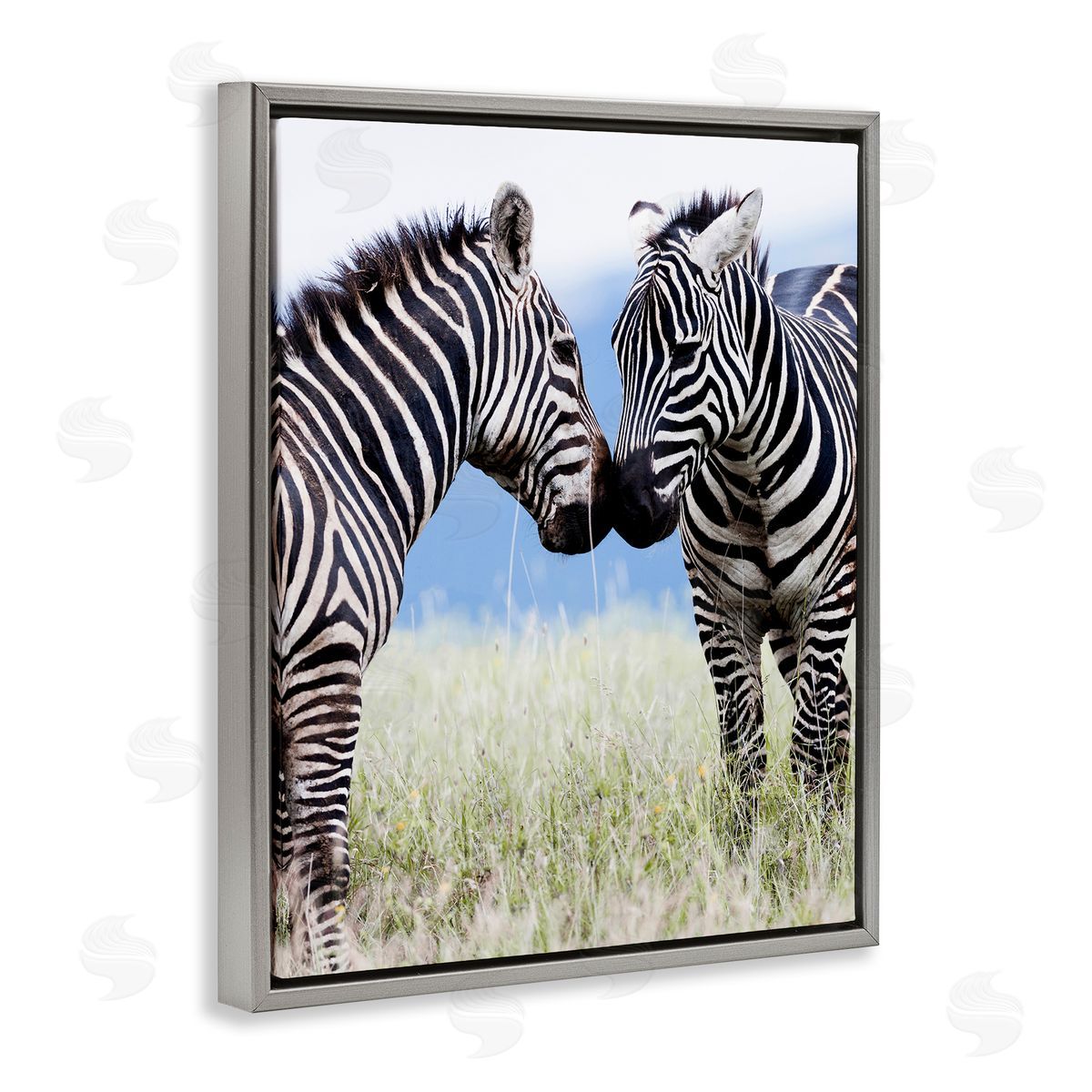 Danita Delimont Heartwarming Zebras Kissing in Field Animal Wildlife  Gray Floating Frame Canvas Wall Art Print